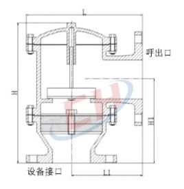 帶接管單呼閥結(jié)構(gòu)圖